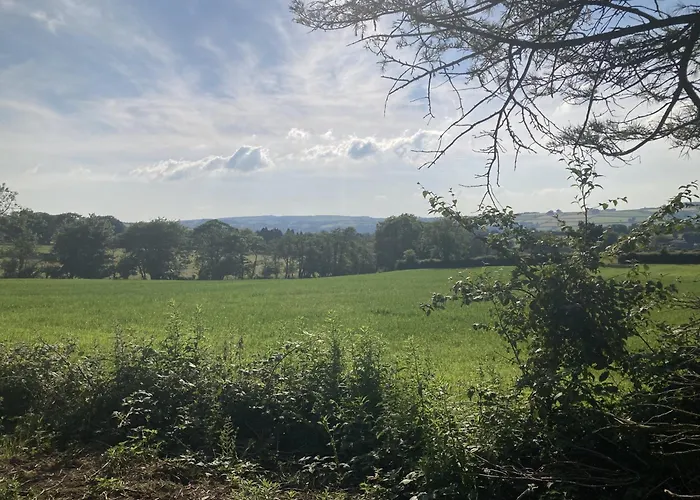 Blaengwen Bach