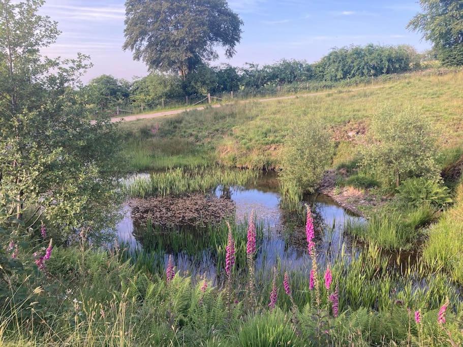 Blaengwen Bach Pencader (Carmarthenshire)