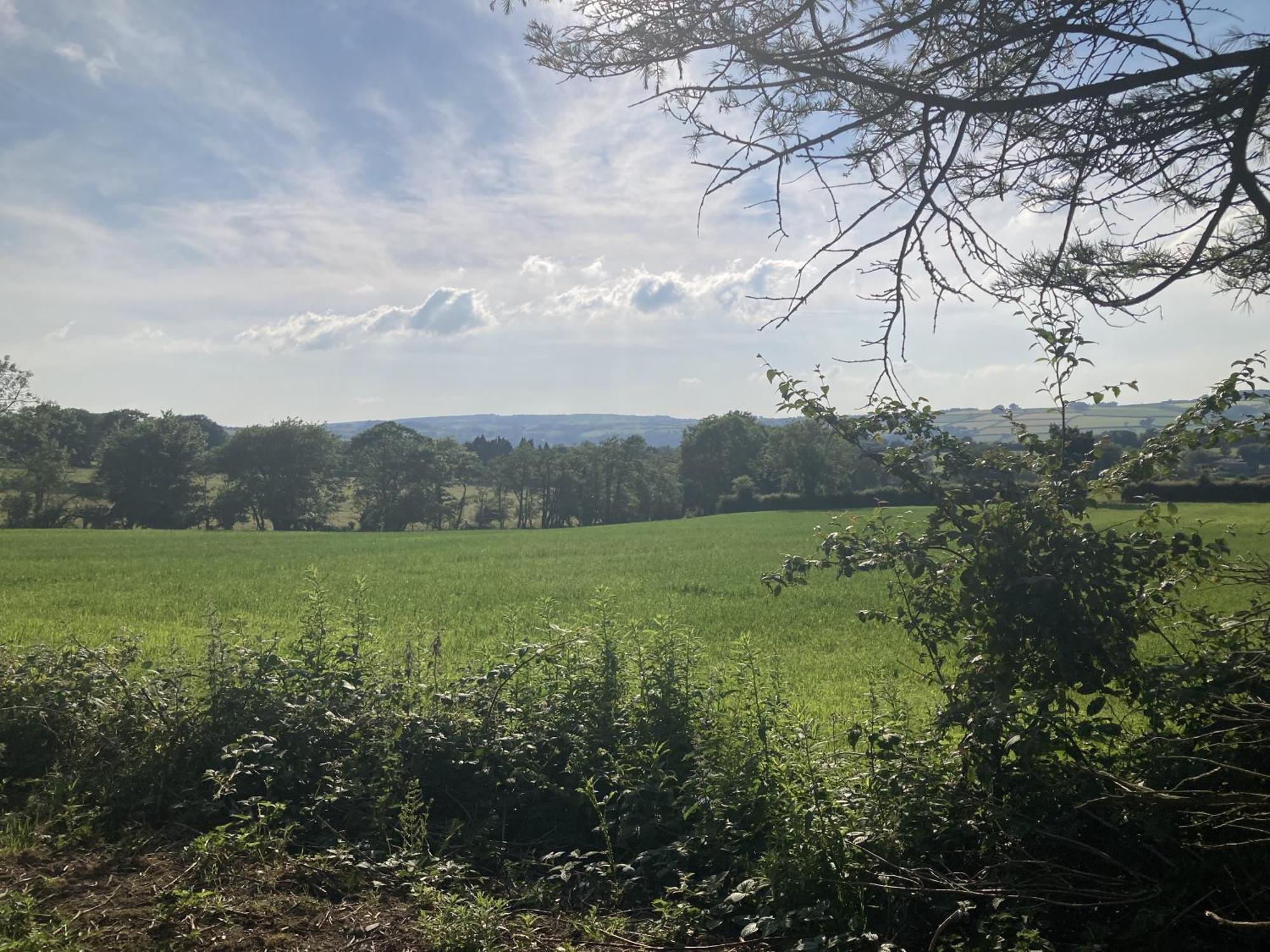 Blaengwen Bach * Pencader (Carmarthenshire)